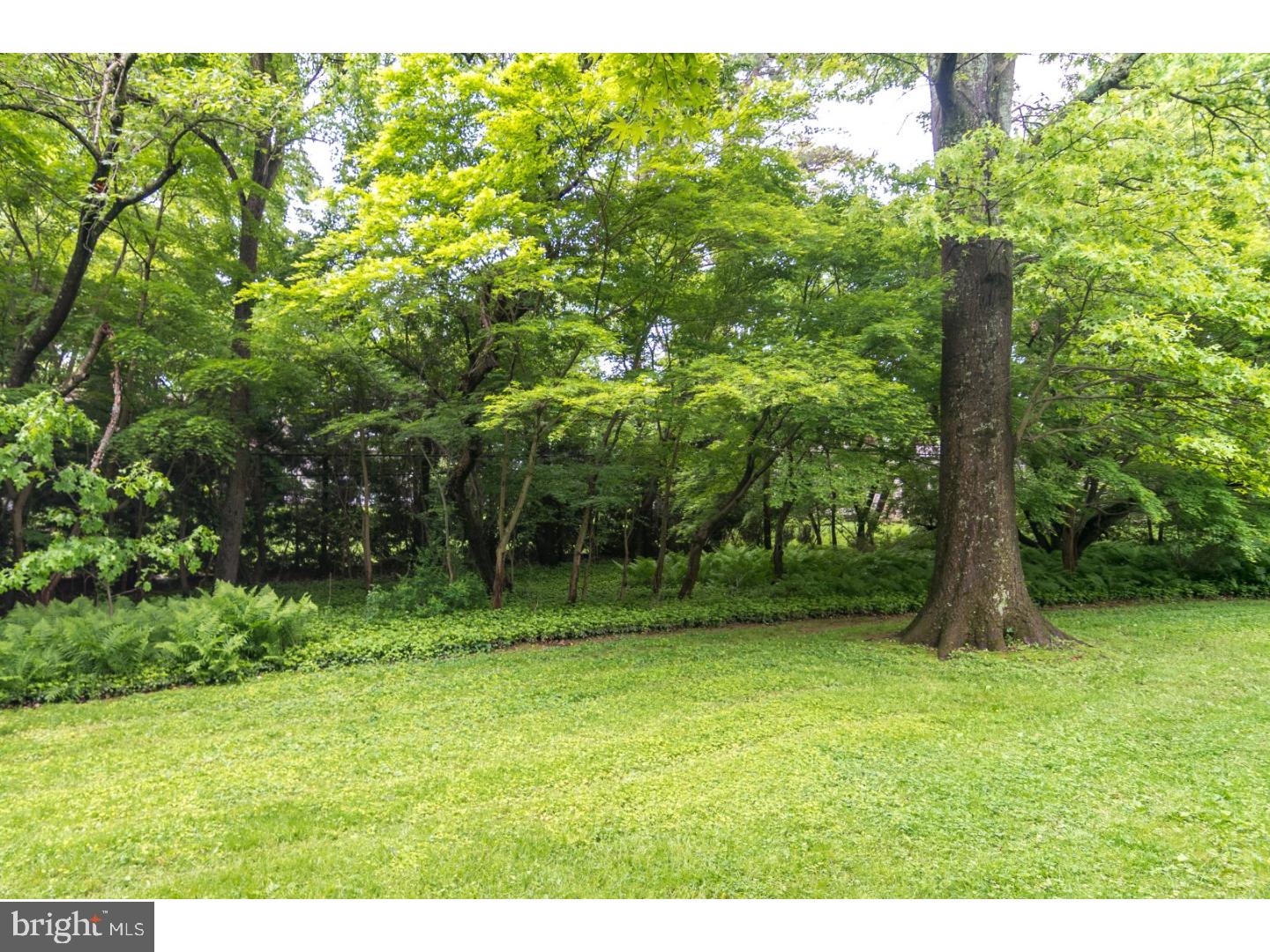 1447 Gunpowder Road Rydal, PA 19046 - Photo 24 of 25 Back Yard
