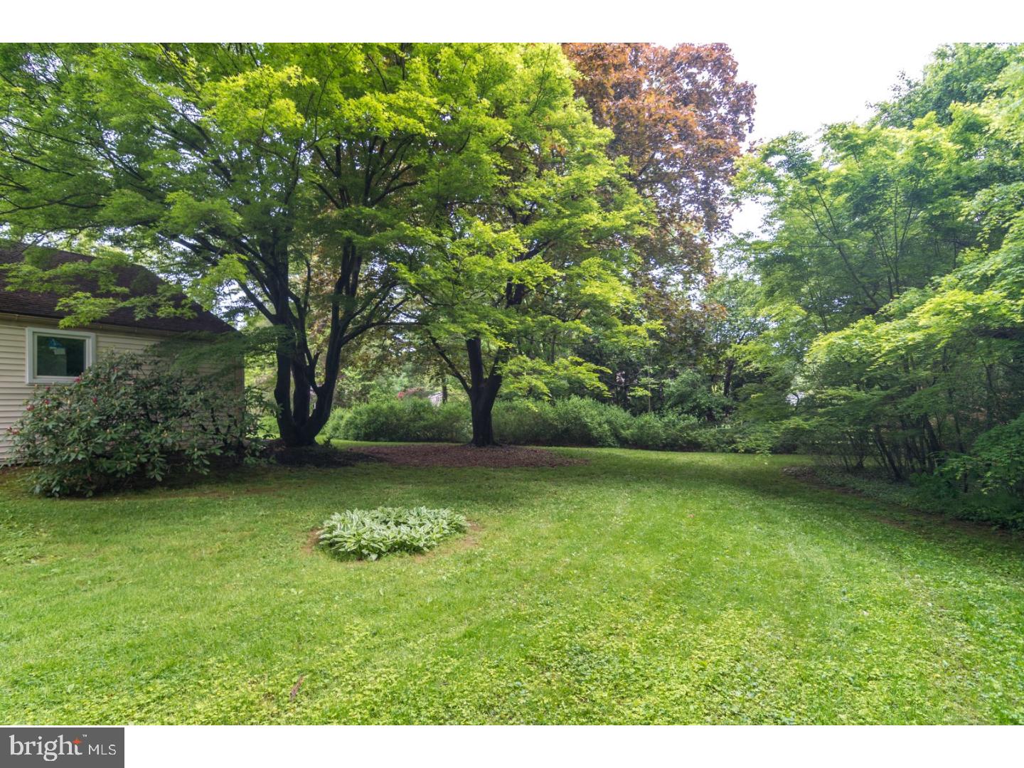 1447 Gunpowder Road Rydal, PA 19046 - Photo 25 of 25 Back Yard