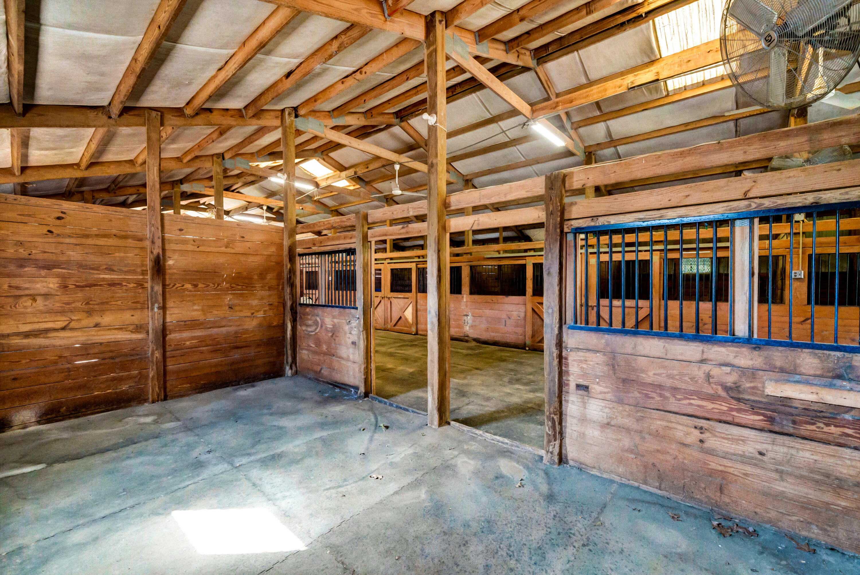 320 Adams Lane Gilbert, SC 29054 - Photo 65 of 92