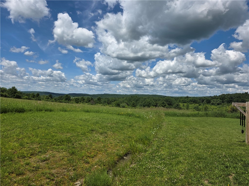 271 Prospect Hill Road Barton, NY 14892 - Photo 13 of 41