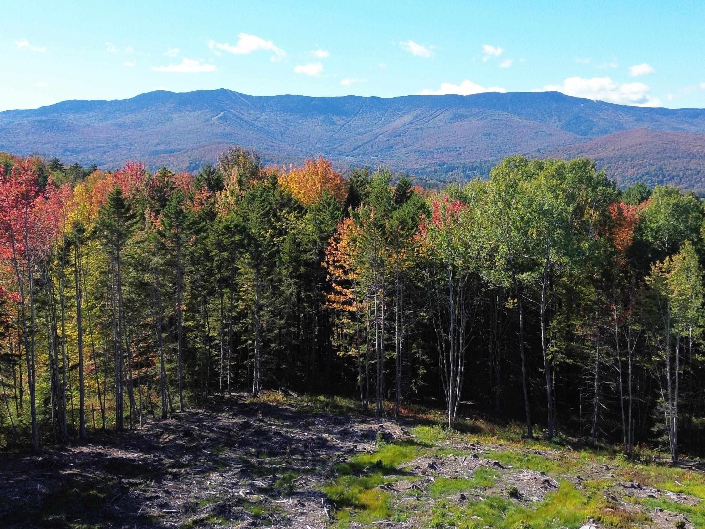971 Cider Hill Road Warren, VT 05674 - Photo 11 of 12