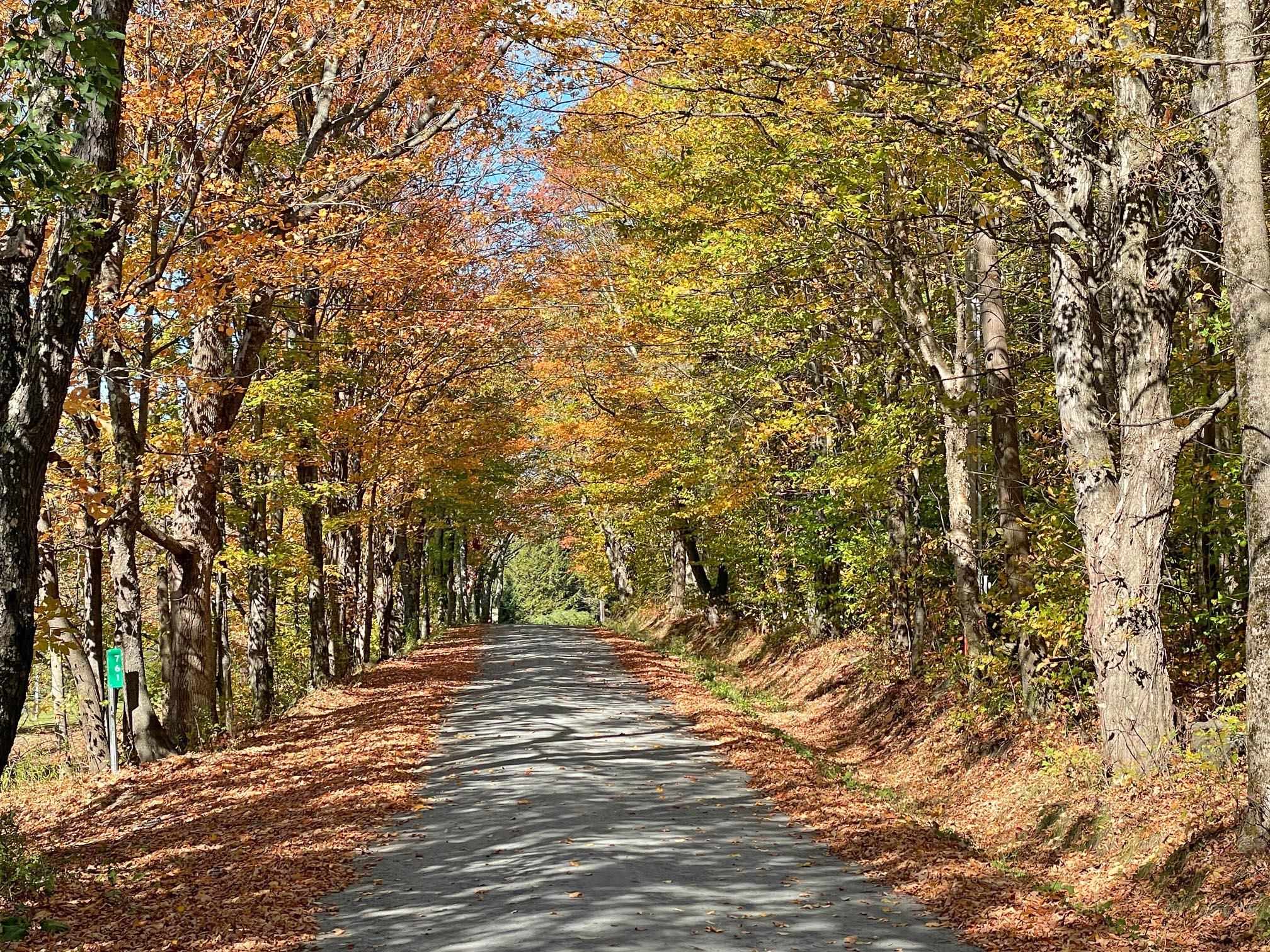 971 Cider Hill Road Warren, VT 05674 - Photo 12 of 12