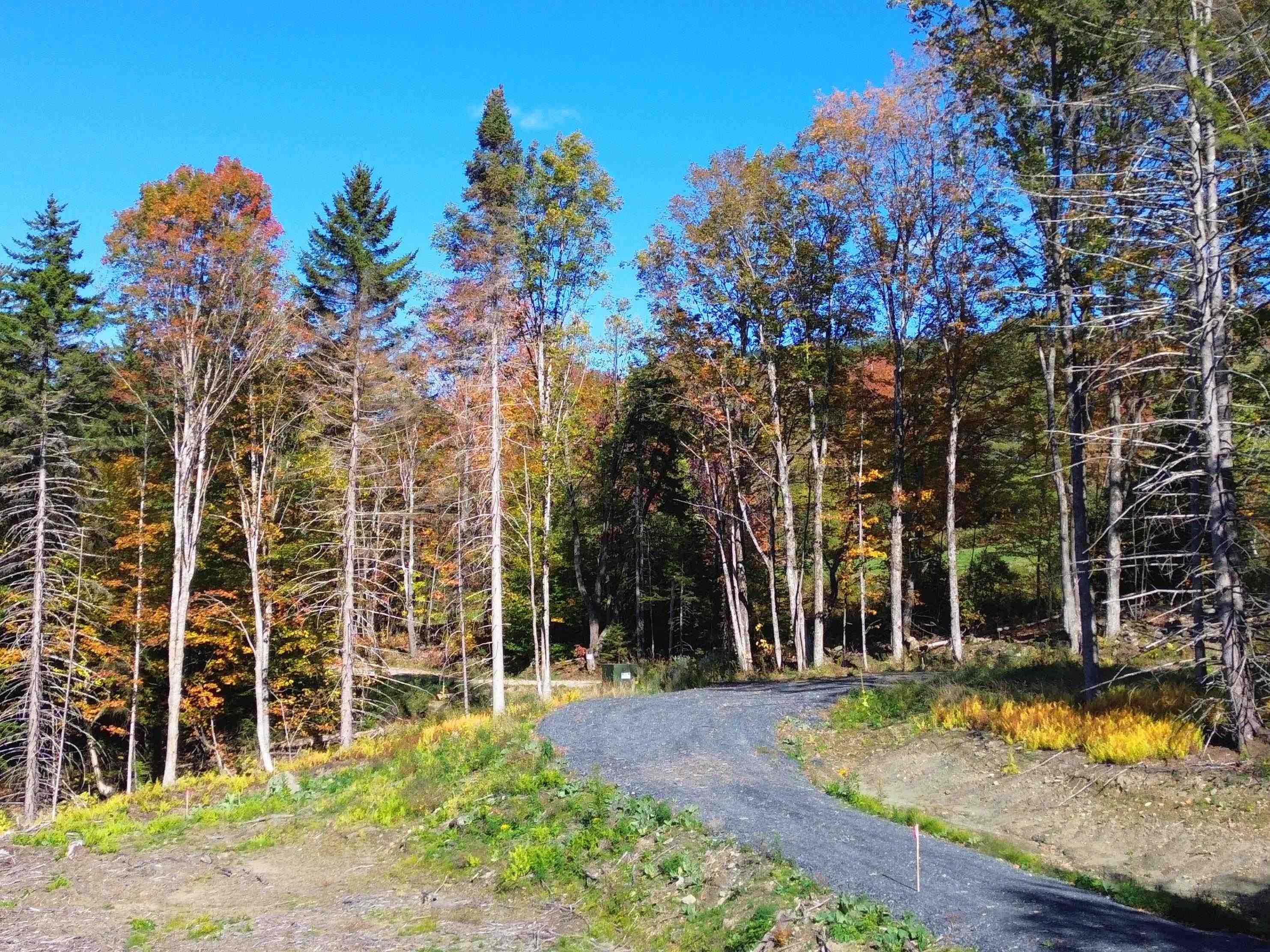 971 Cider Hill Road Warren, VT 05674 - Photo 3 of 12