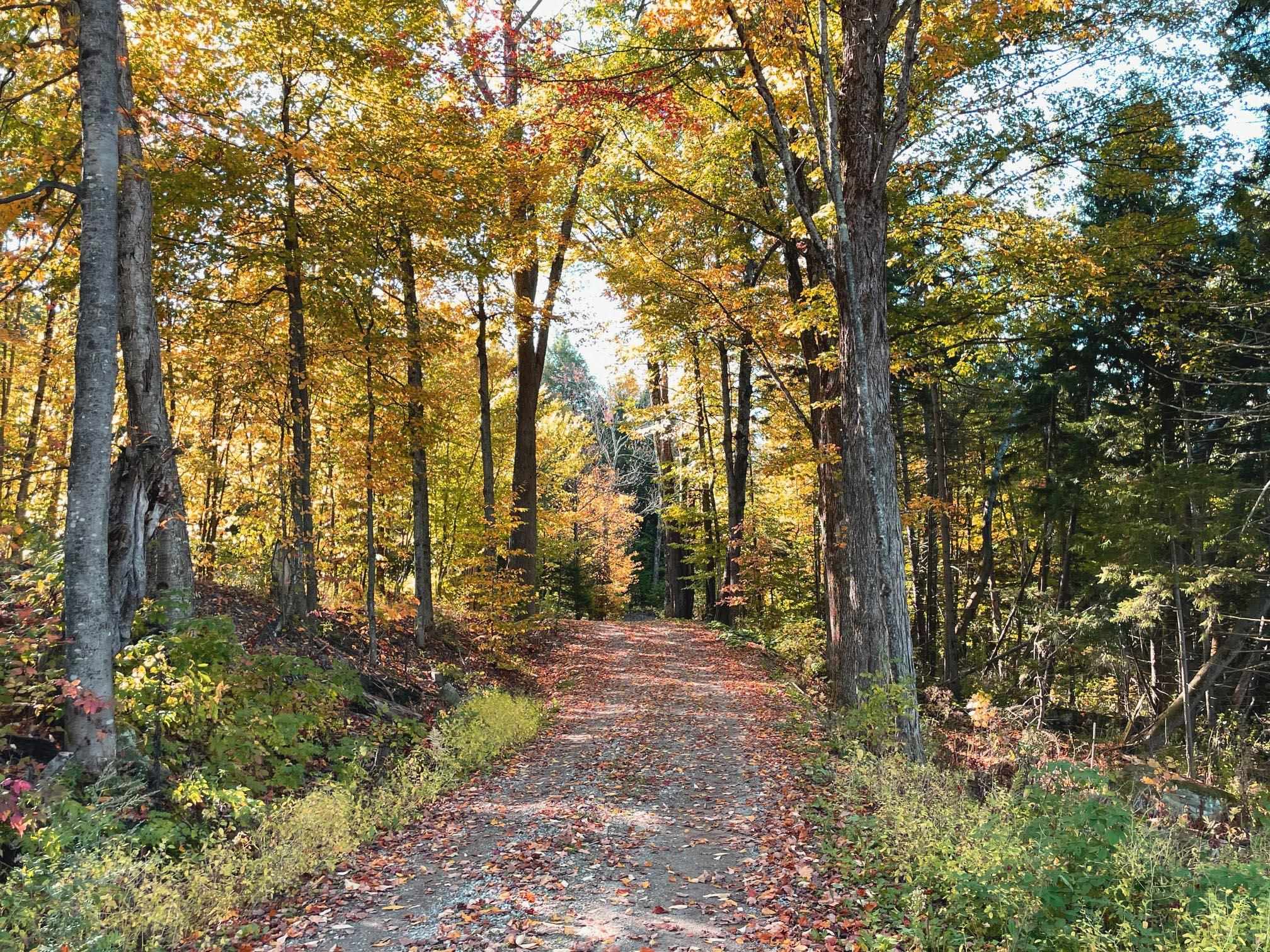 971 Cider Hill Road Warren, VT 05674 - Photo 4 of 12