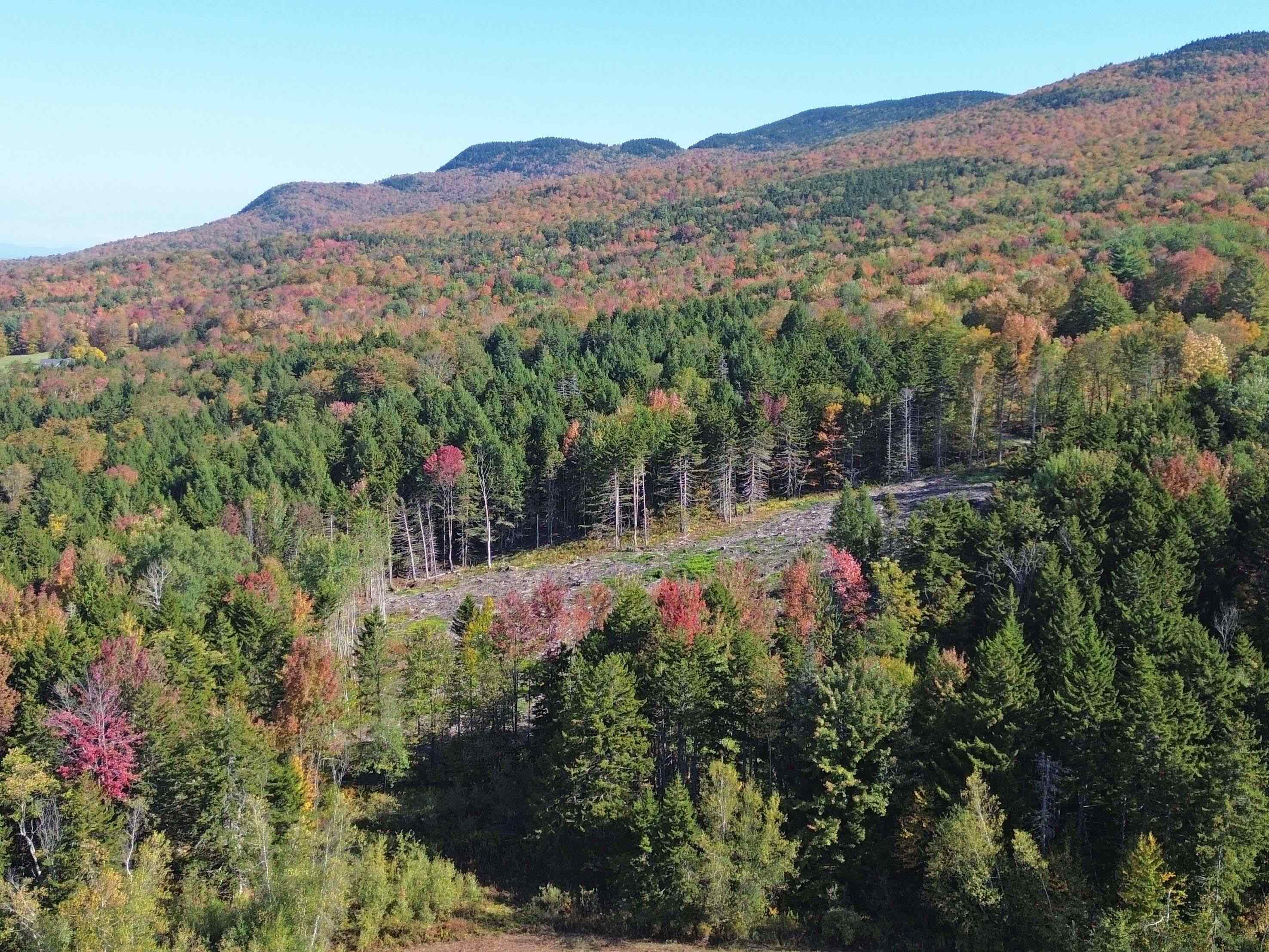 971 Cider Hill Road Warren, VT 05674 - Photo 6 of 12