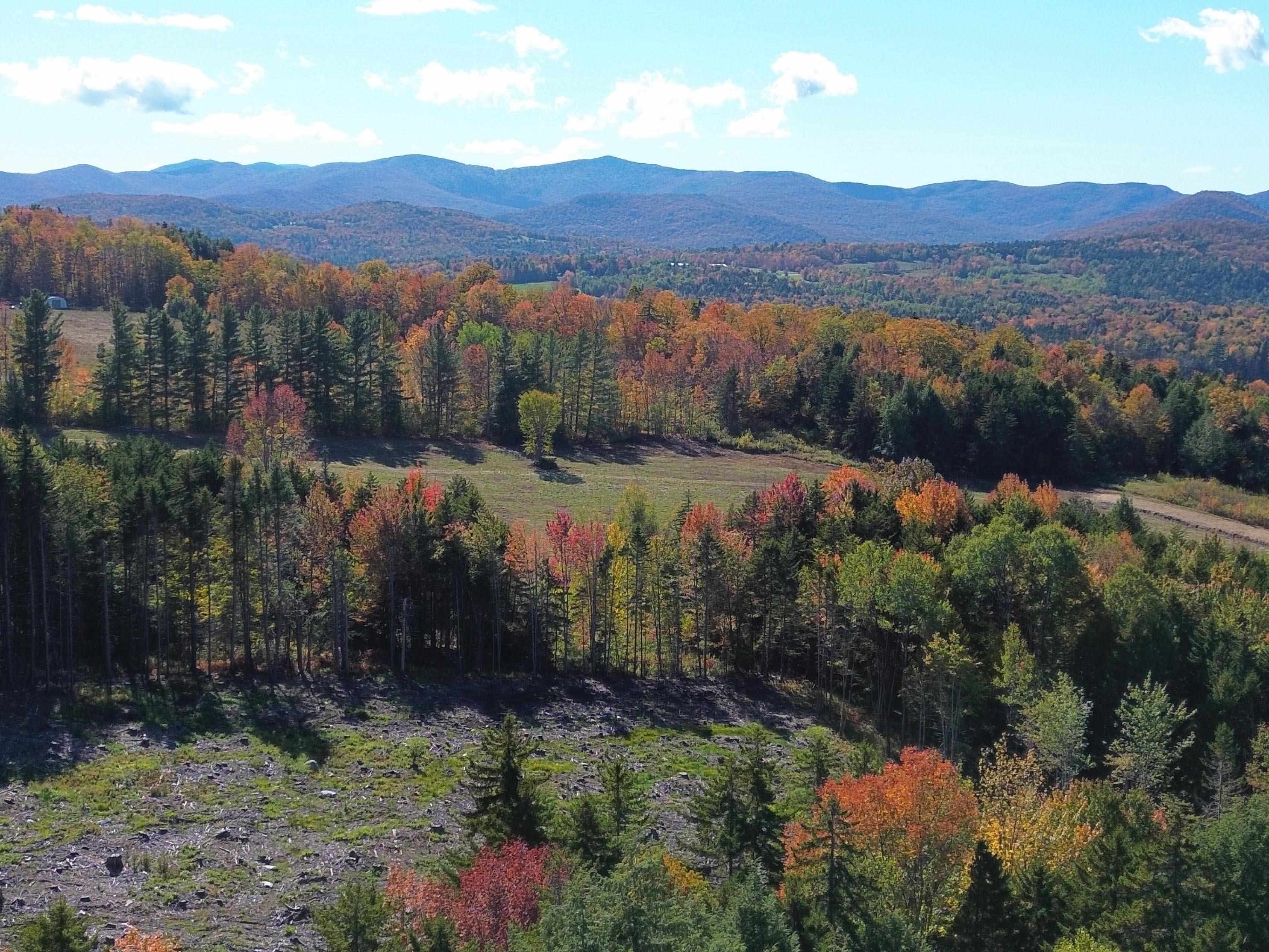 971 Cider Hill Road Warren, VT 05674 - Photo 8 of 12