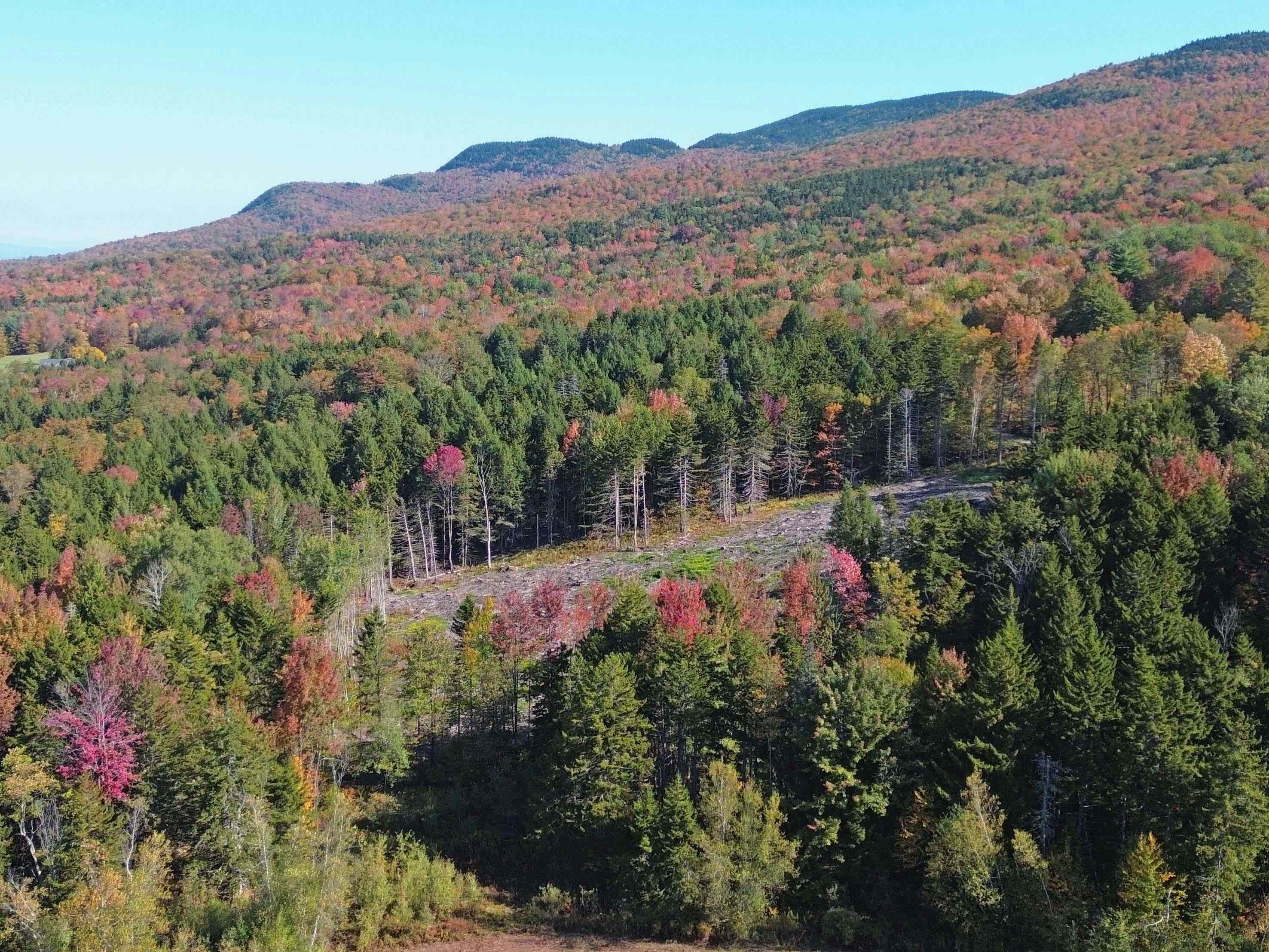 971 Cider Hill Road Warren, VT 05674 - Photo 10 of 12