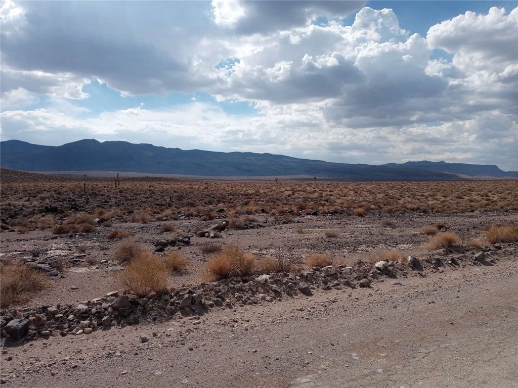 0 South Warm Spring Road Independence, CA 93526 - Photo 2 of 12 a view of a dry yard