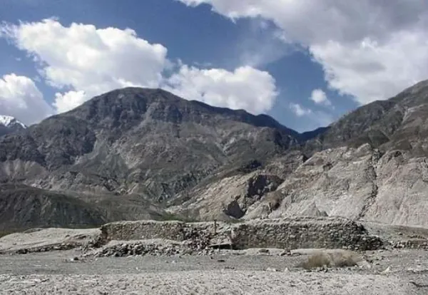 a view of a dry field with large trees