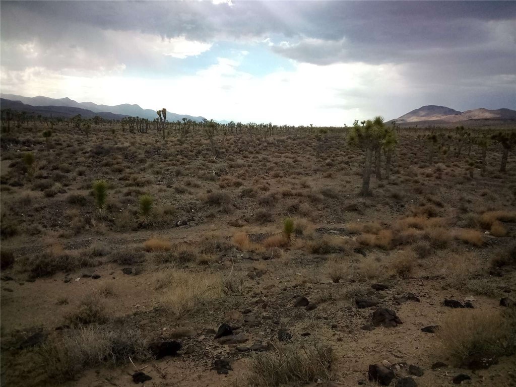 0 South Warm Spring Road Independence, CA 93526 - Photo 8 of 12 a view of a mountain
