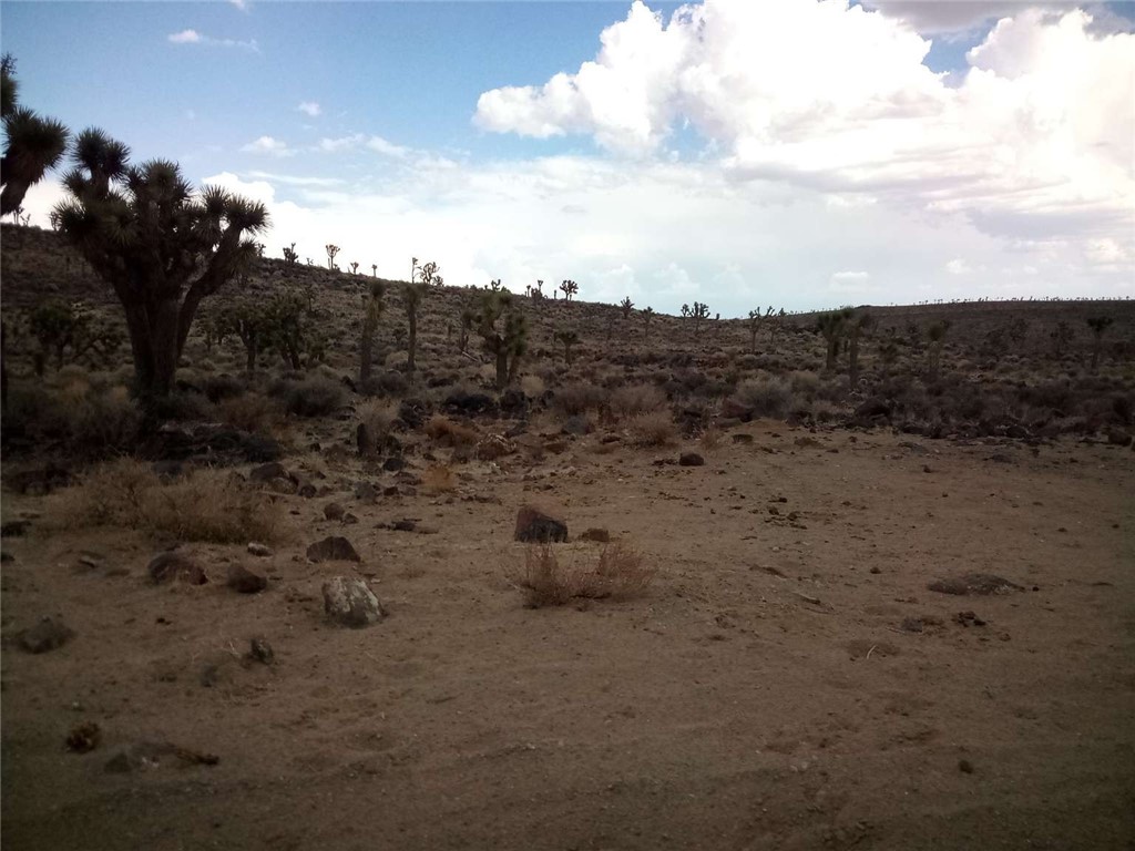 0 South Warm Spring Road Independence, CA 93526 - Photo 9 of 12 a view of a dry yard with wooden fence