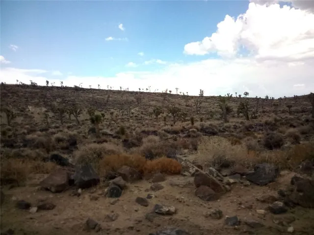 a view of a dry yard
