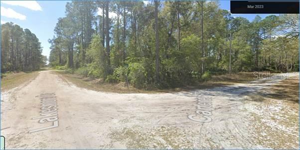 541 Carteret Road Georgetown, FL 32139 - Photo 1 of 1 corner lakeshore and carteret