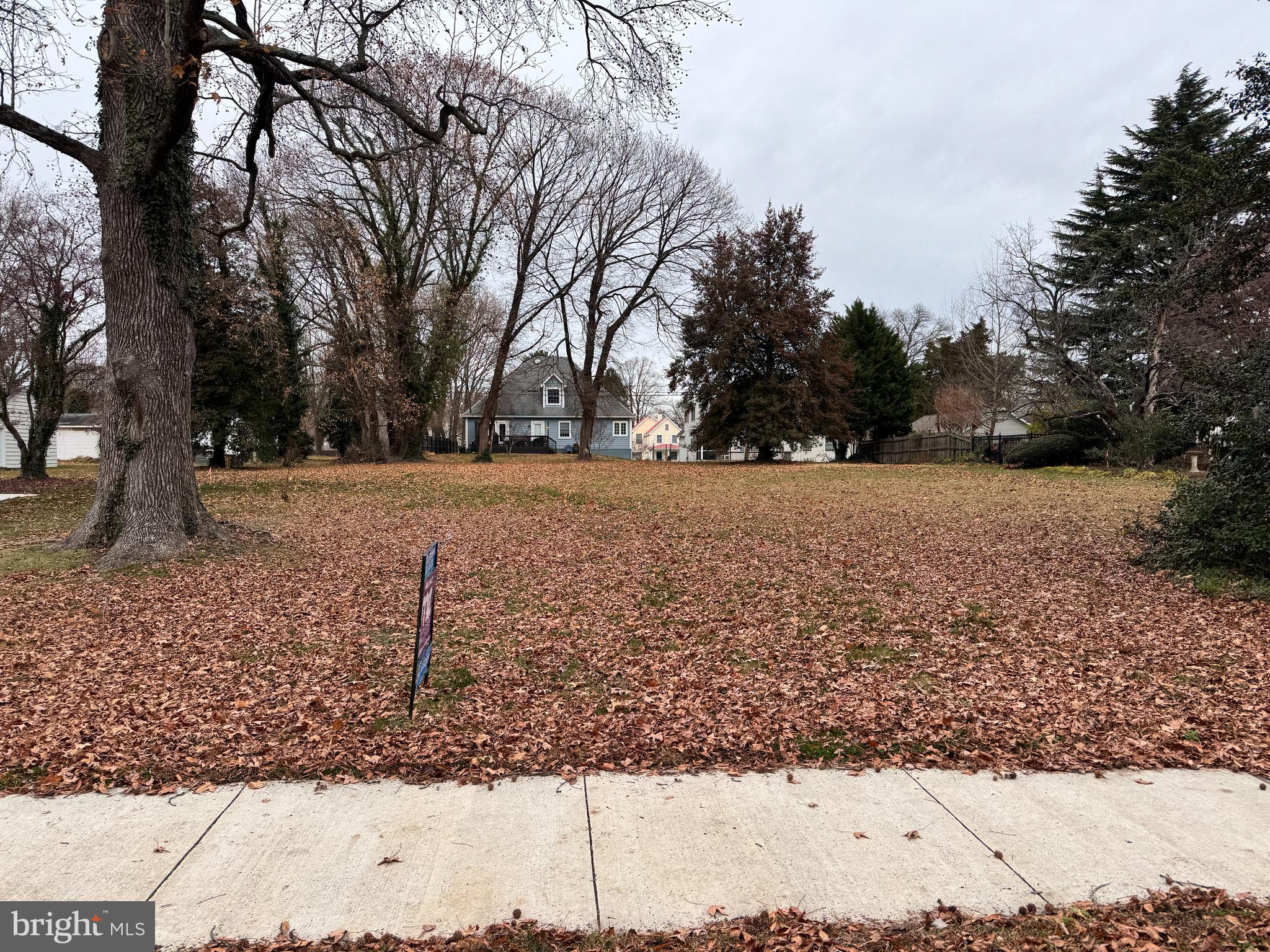 21 Hazel Road Dover, DE 19901 - Photo 1 of 1 a view of yard