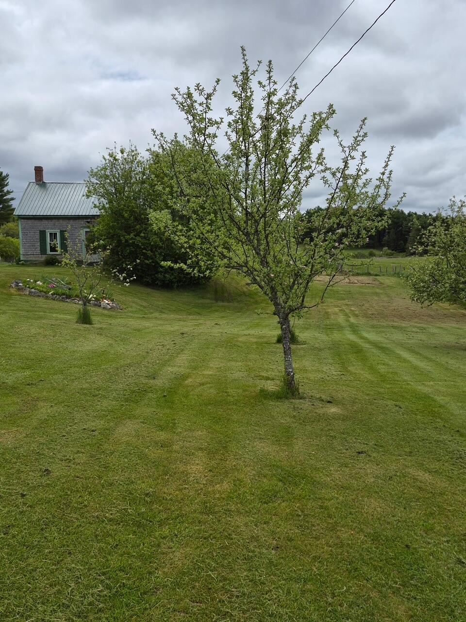144 Harrison Road Dennysville, ME 04628 - Photo 3 of 25 herrick spring 2