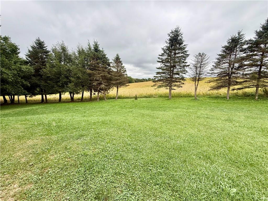 734 Bruin Road Petrolia, PA 16050 - Photo 7 of 45 Gallery Image 7