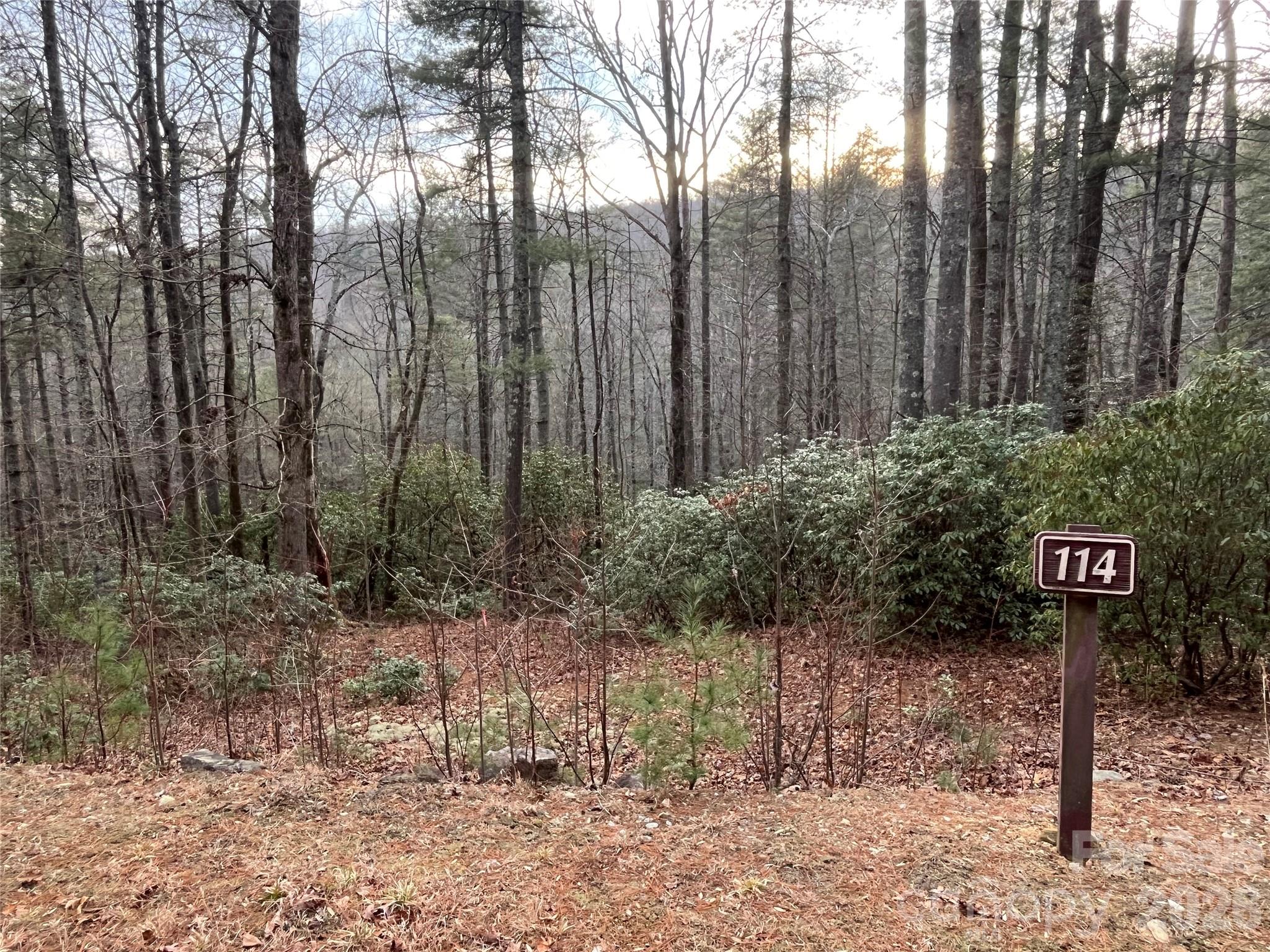 Lot 114 Huckleberry Ridge Lane Zirconia, NC 28790 - Photo 2 of 9