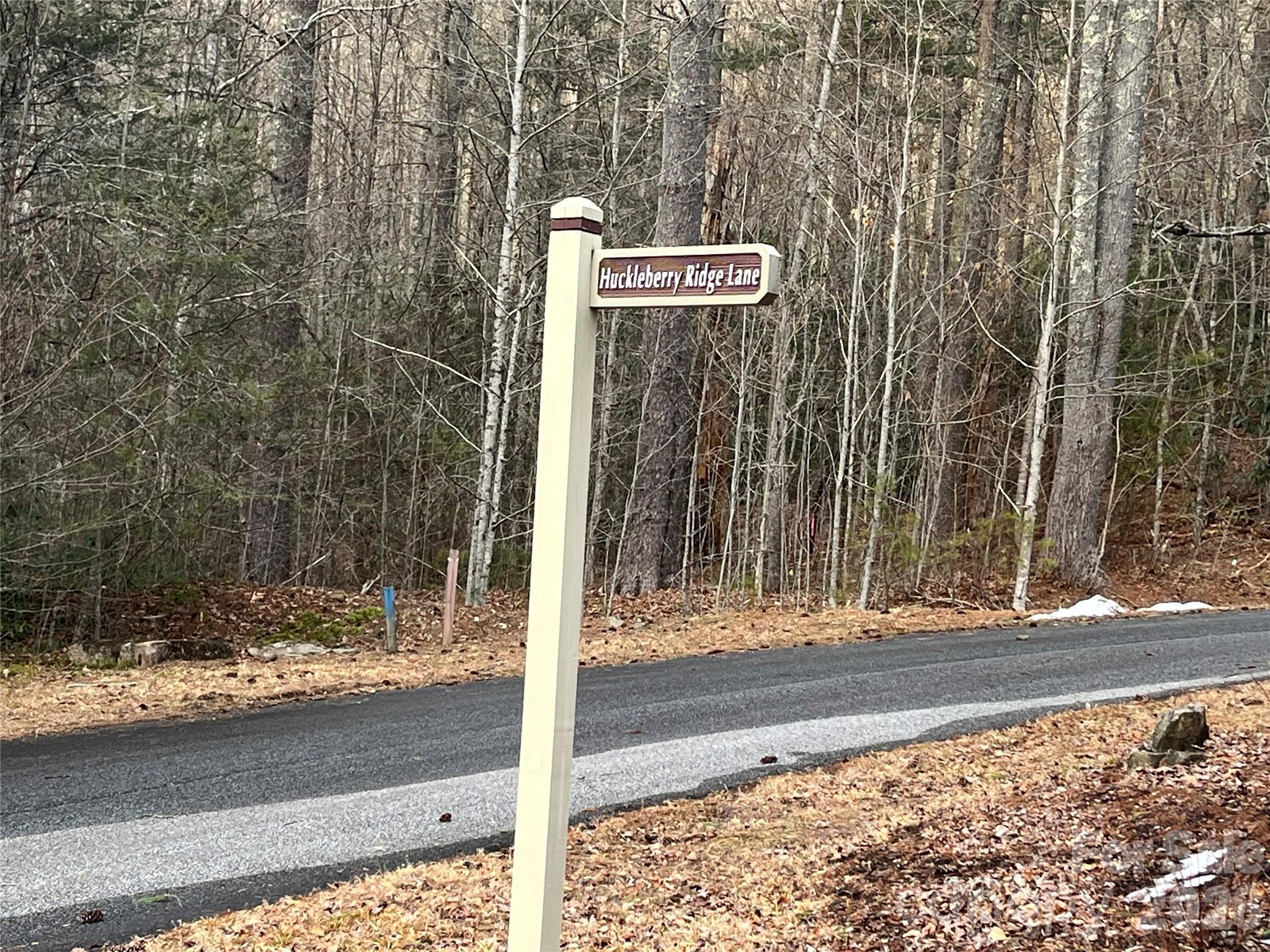Lot 114 Huckleberry Ridge Lane Zirconia, NC 28790 - Photo 7 of 9