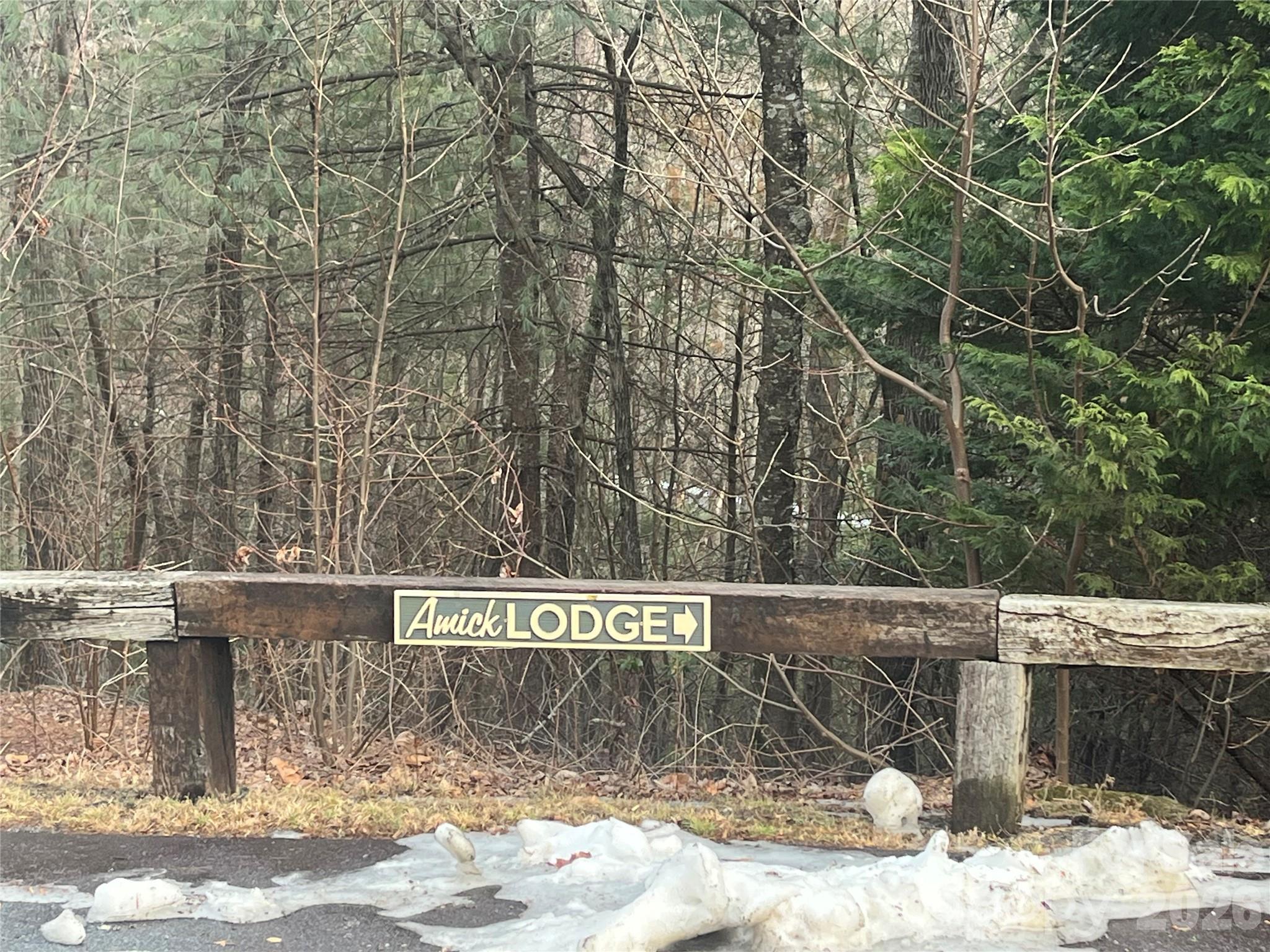 Lot 114 Huckleberry Ridge Lane Zirconia, NC 28790 - Photo 9 of 9