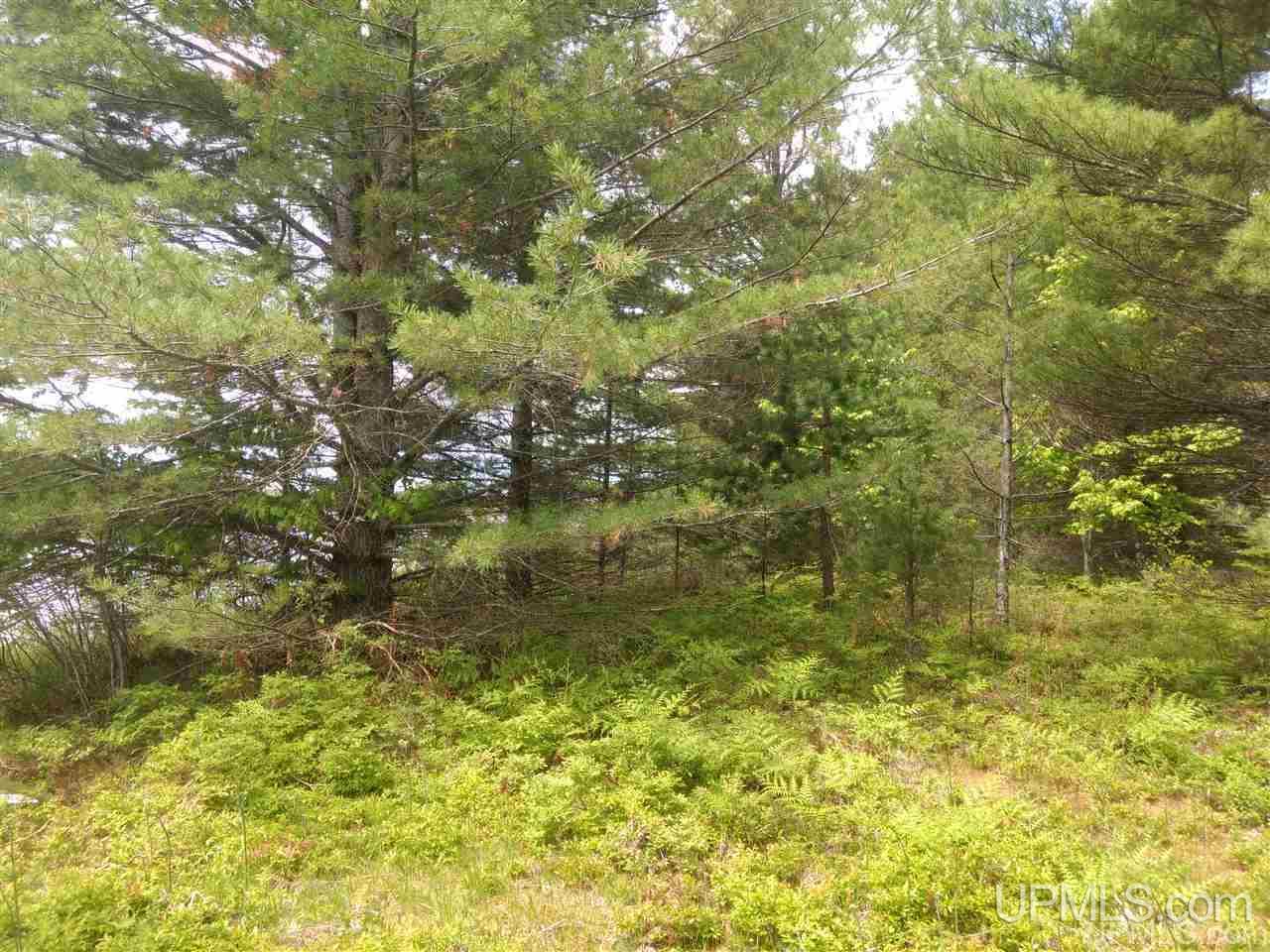 Tbd Rice Landing Road, Unit 13 Lake Linden, MI 49945 - Photo 18 of 35