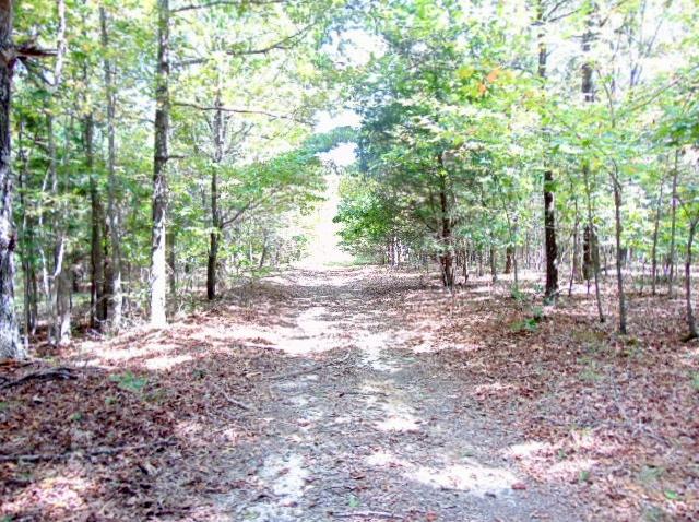 0 Goodrich Road Centerville, TN 37033 - Photo 1 of 4 Gallery Image 1