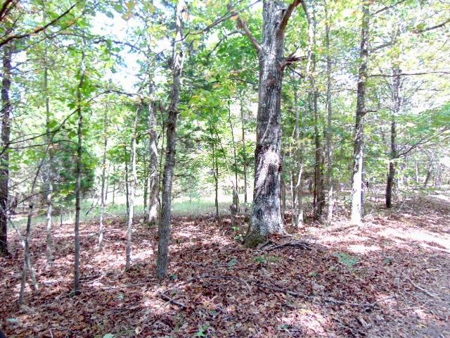 0 Goodrich Road Centerville, TN 37033 - Photo 2 of 4 Gallery Image 2