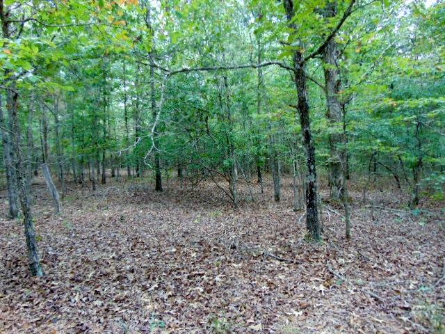 0 Goodrich Road Centerville, TN 37033 - Photo 3 of 4 Gallery Image 3