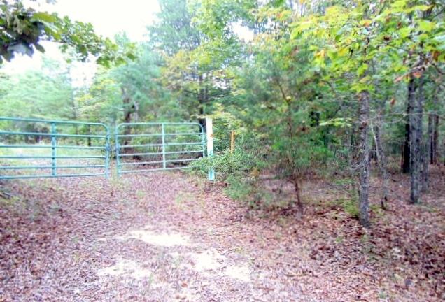 0 Goodrich Road Centerville, TN 37033 - Photo 4 of 4 Gallery Image 4