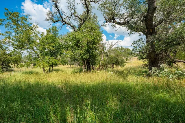 a view of a green field with lots of bushes