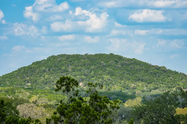 a view of yard with green space