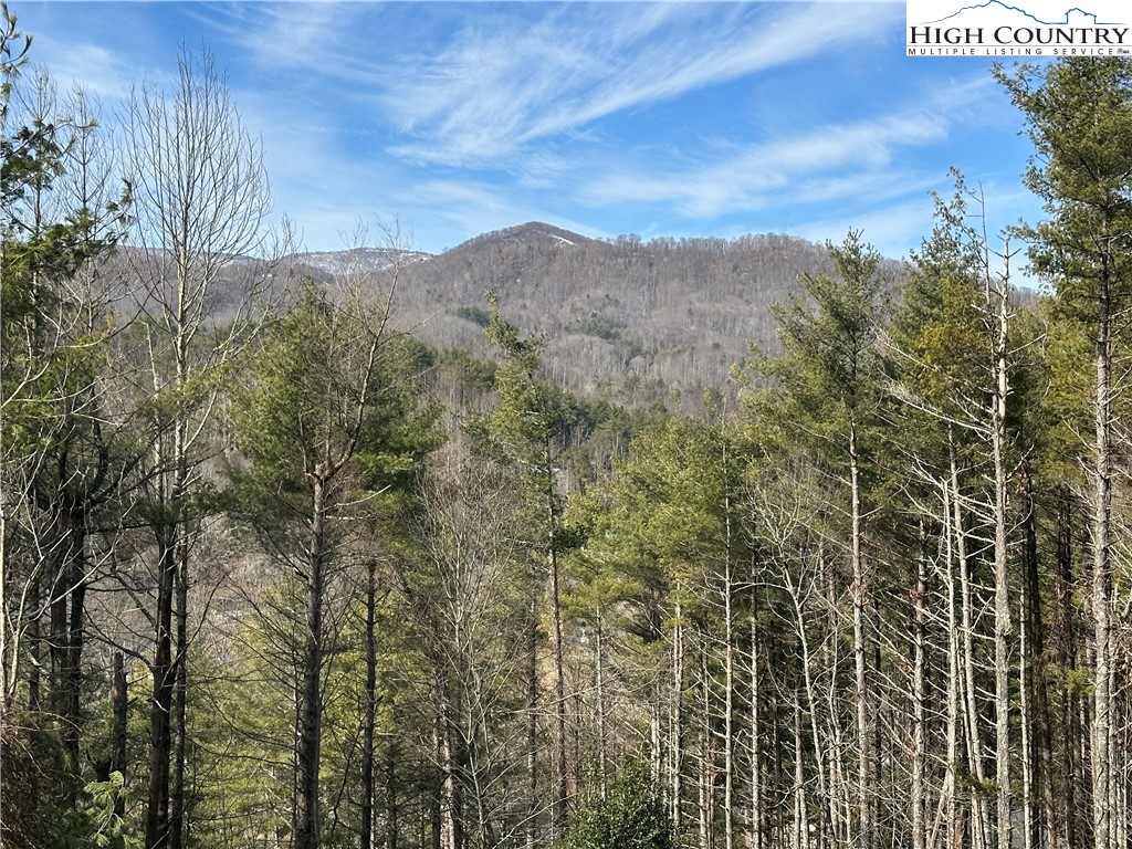 249 Hickory Trail Road Banner Elk, NC 28604 - Photo 7 of 49 Gallery Image 7