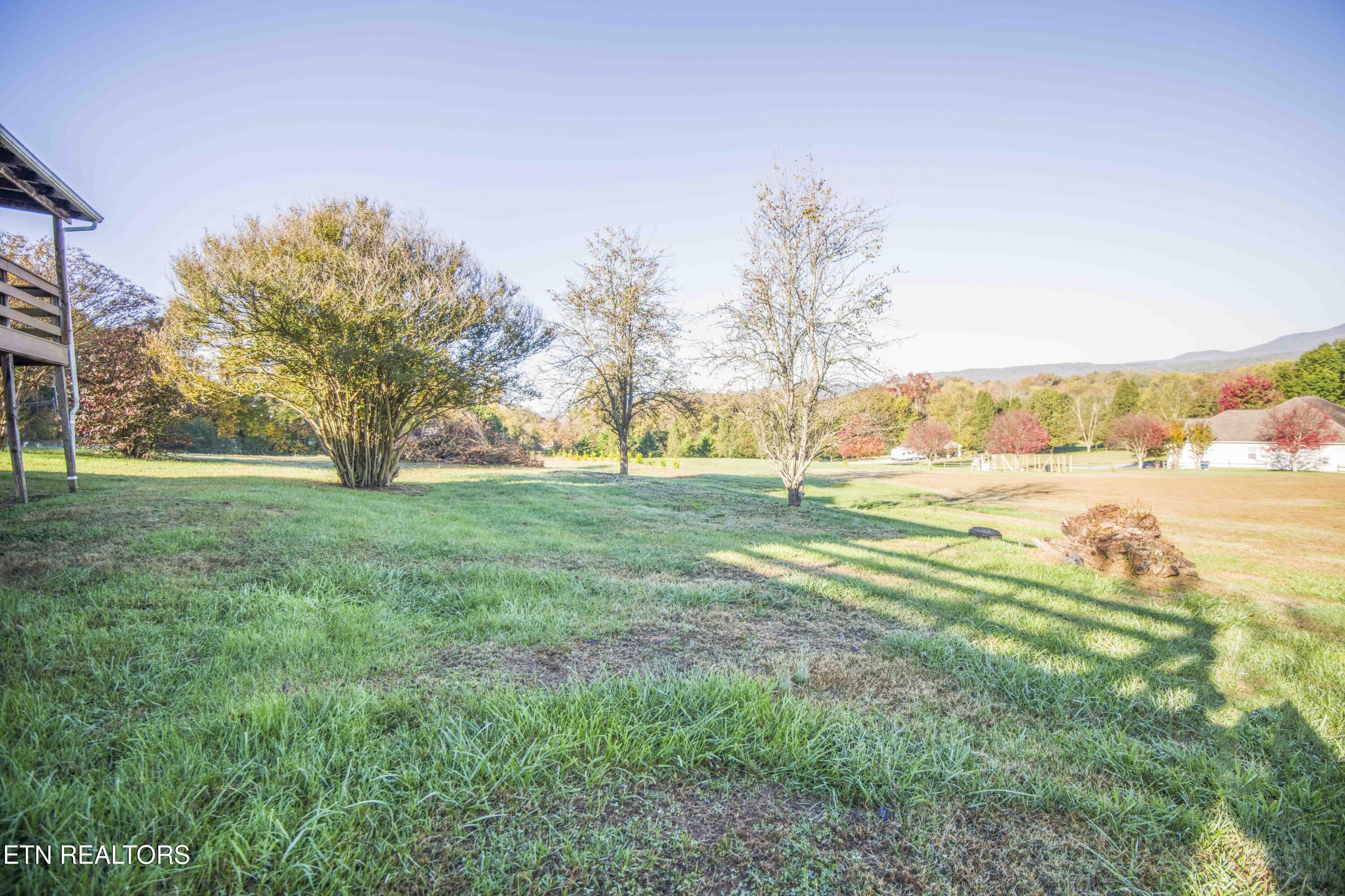 446 Mahoney Road Oliver Springs, TN 37840 - Photo 42 of 46 yard 3_1