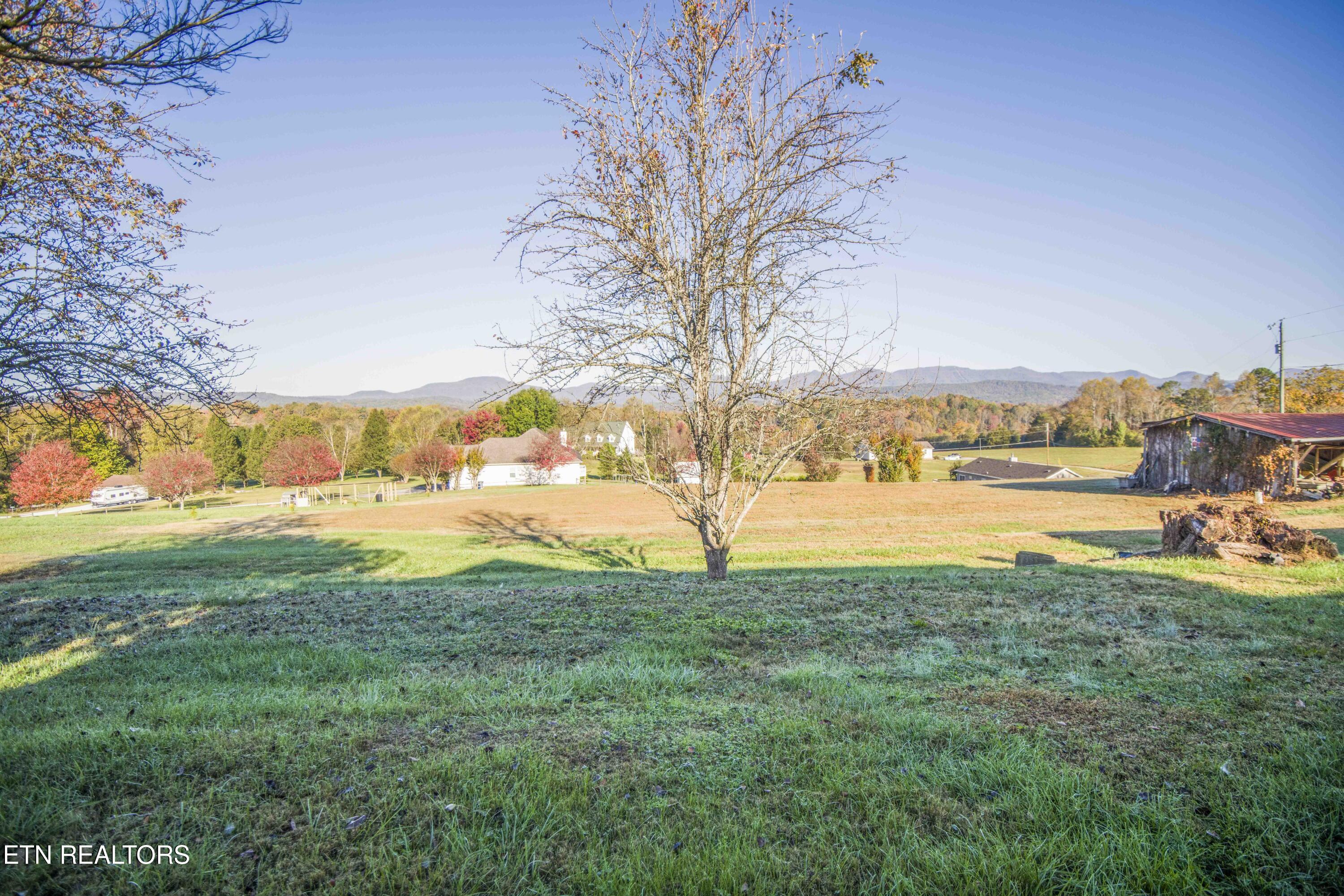 446 Mahoney Road Oliver Springs, TN 37840 - Photo 46 of 46 yard_1