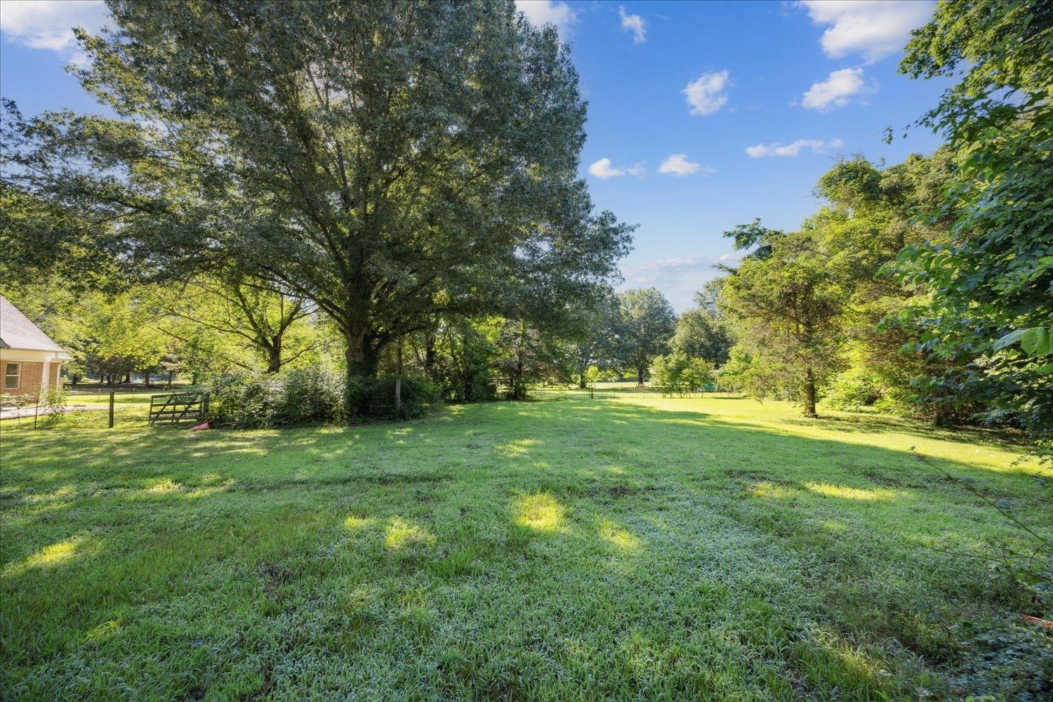 6473 Pleasant Ridge Road Millington, TN 38053 - Photo 22 of 23 View of yard