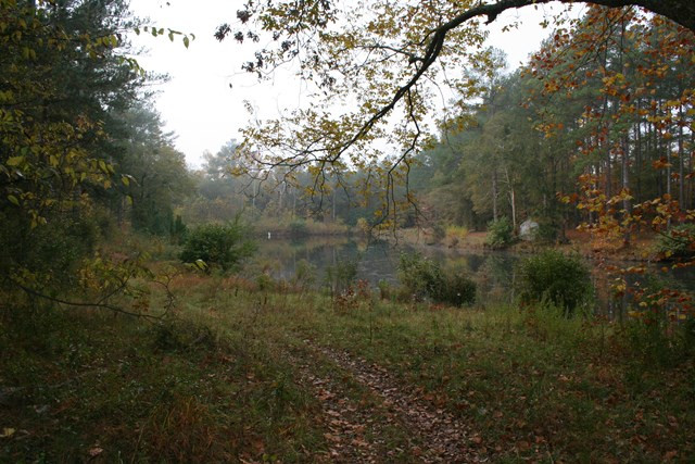 4810 Hereford Farm Road Evans, GA 30809 - Photo 3 of 14 Gallery Image 3