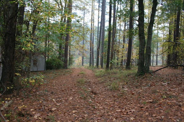 4810 Hereford Farm Road Evans, GA 30809 - Photo 6 of 14 Gallery Image 6