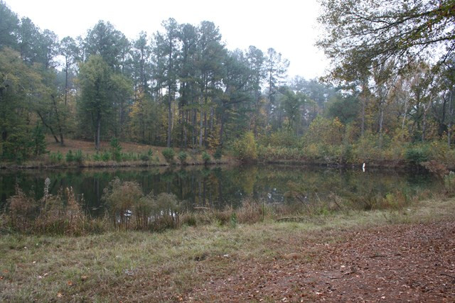 4810 Hereford Farm Road Evans, GA 30809 - Photo 10 of 14 Gallery Image 10