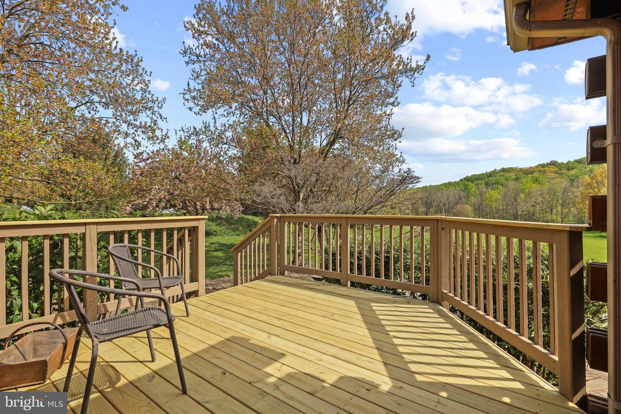 13021 Beaver Dam Road Cockeysville, MD 21030 - Photo 16 of 57 Rear deck