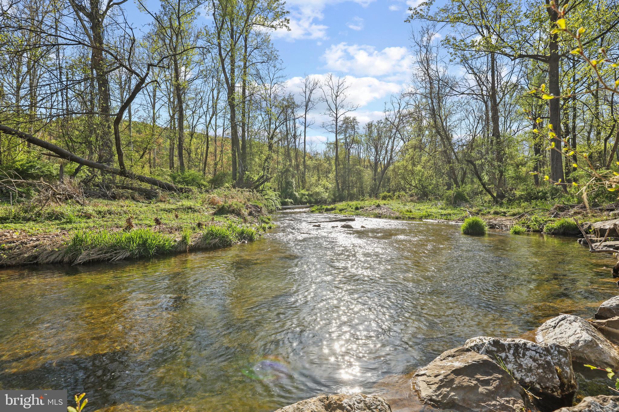 13021 Beaver Dam Road Cockeysville, MD 21030 - Photo 4 of 57 Confluence of Beaver Dam Run & Baisman Run