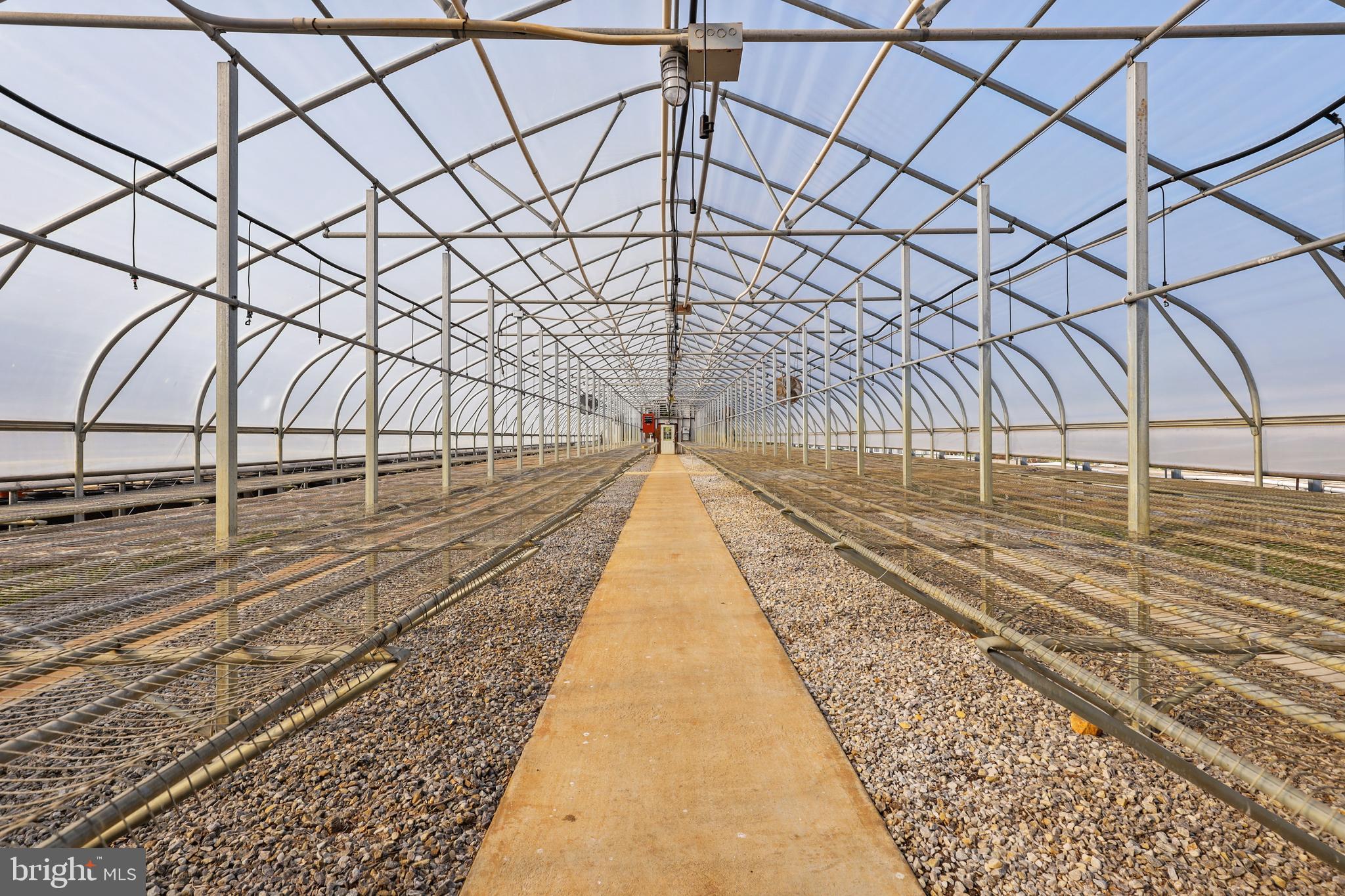 13021 Beaver Dam Road Cockeysville, MD 21030 - Photo 53 of 57 Greenhouse 1