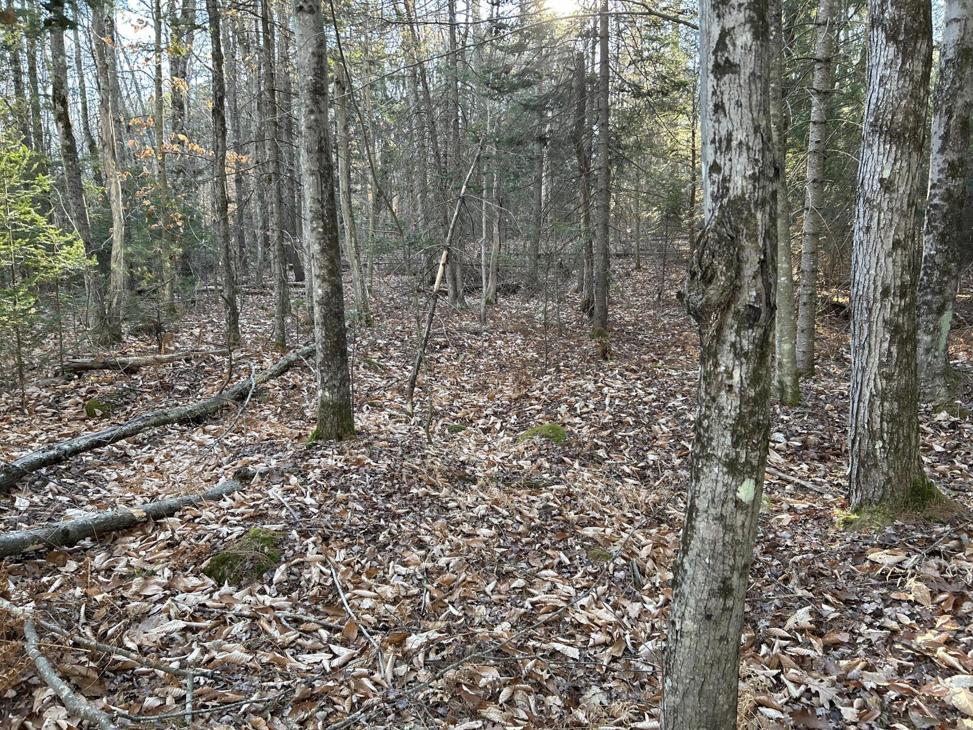 10 10 Lots Road Oakland, ME 04963 - Photo 21 of 28 IMG_3413