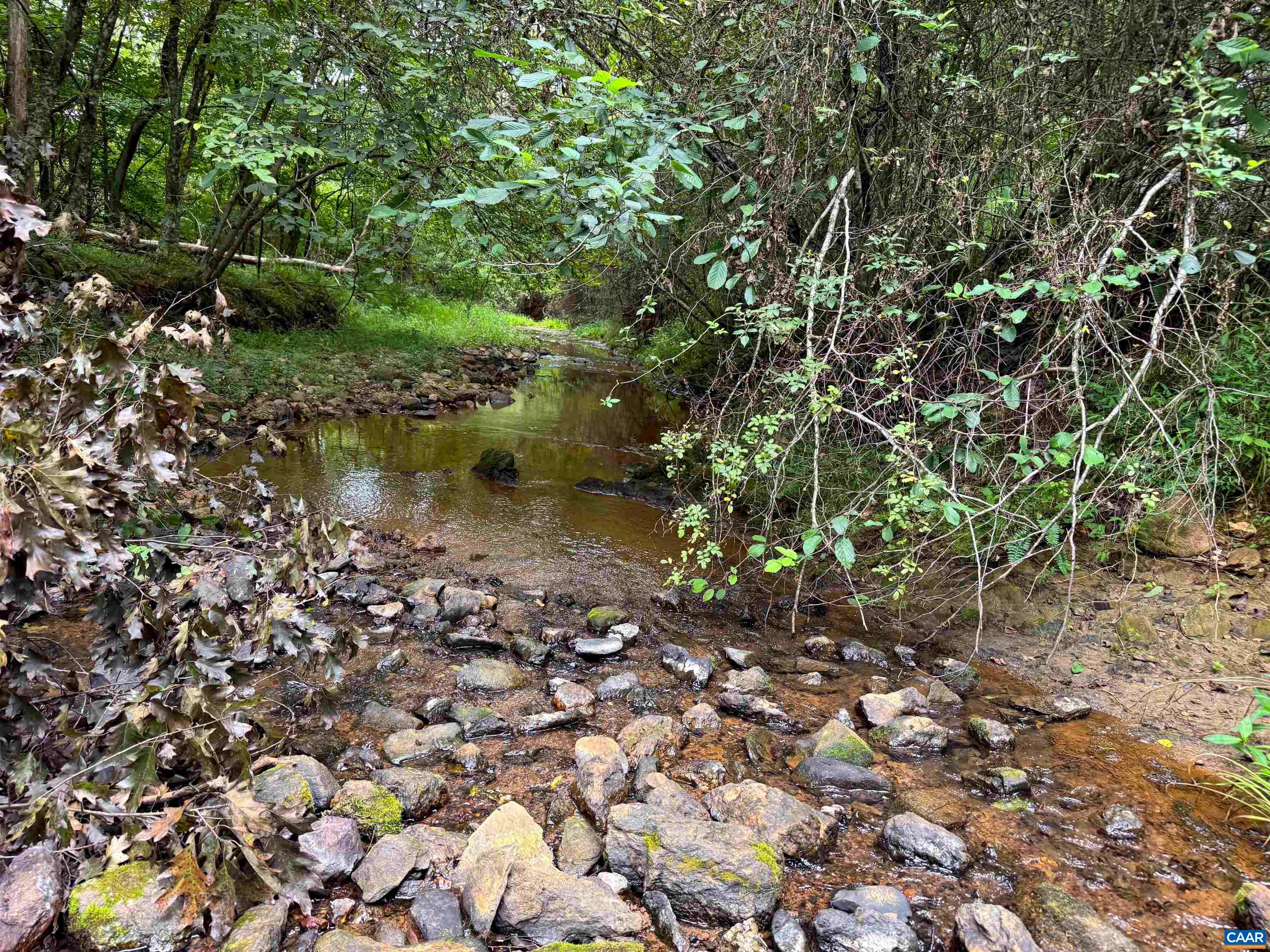 a view of a lake with houses