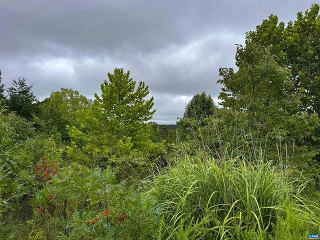 a view of a city with lush green forest