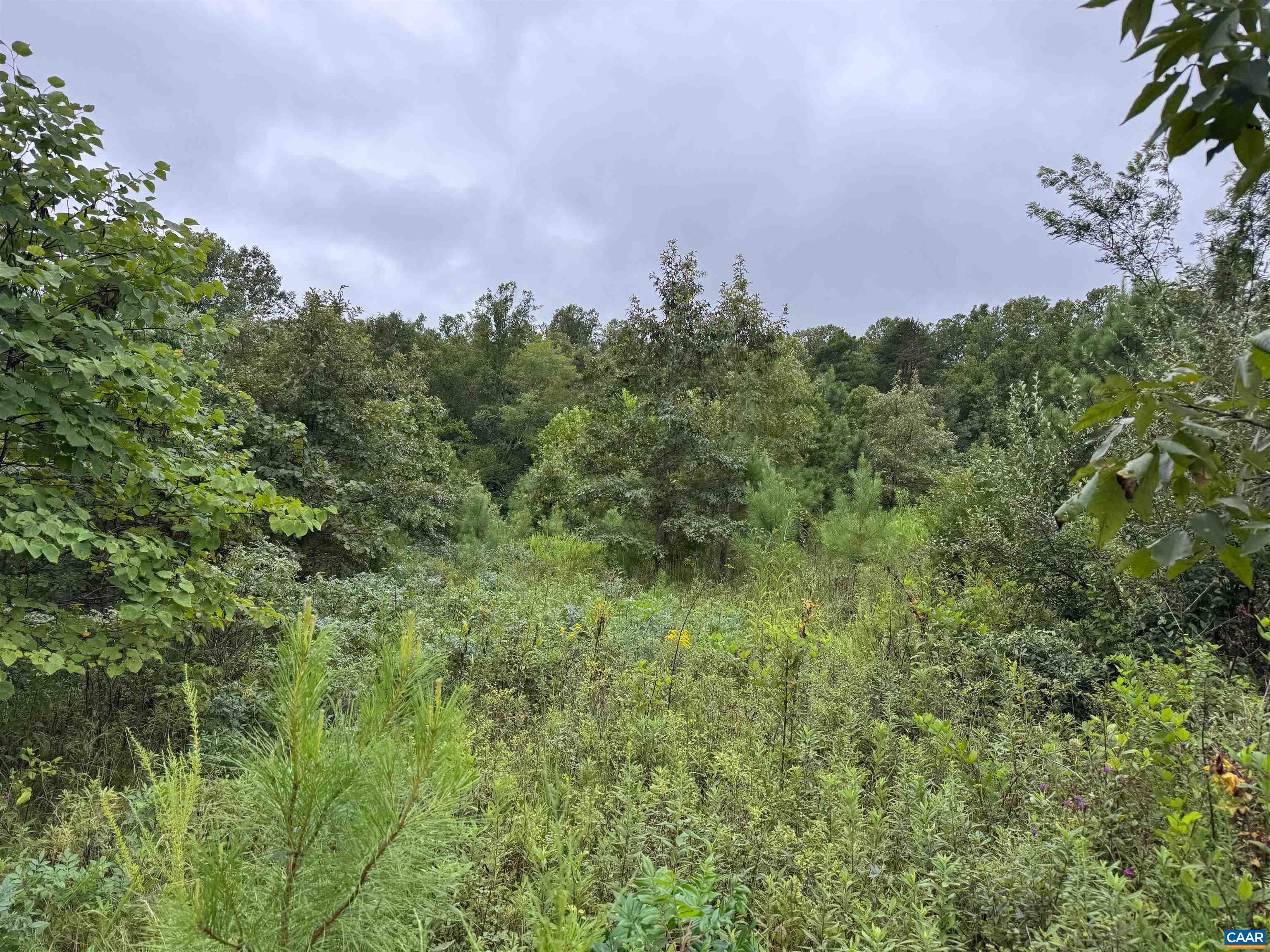 Tba Old Green Mountain Road Esmont, VA 22937 - Photo 15 of 33 a view of a city with lush green forest