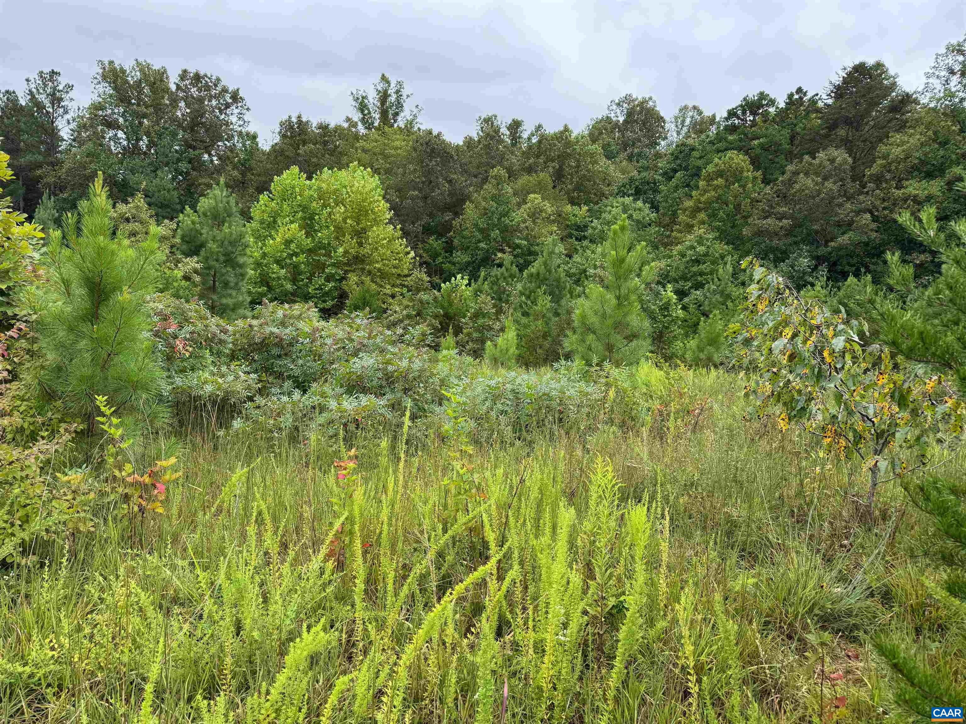 Tba Old Green Mountain Road Esmont, VA 22937 - Photo 22 of 33