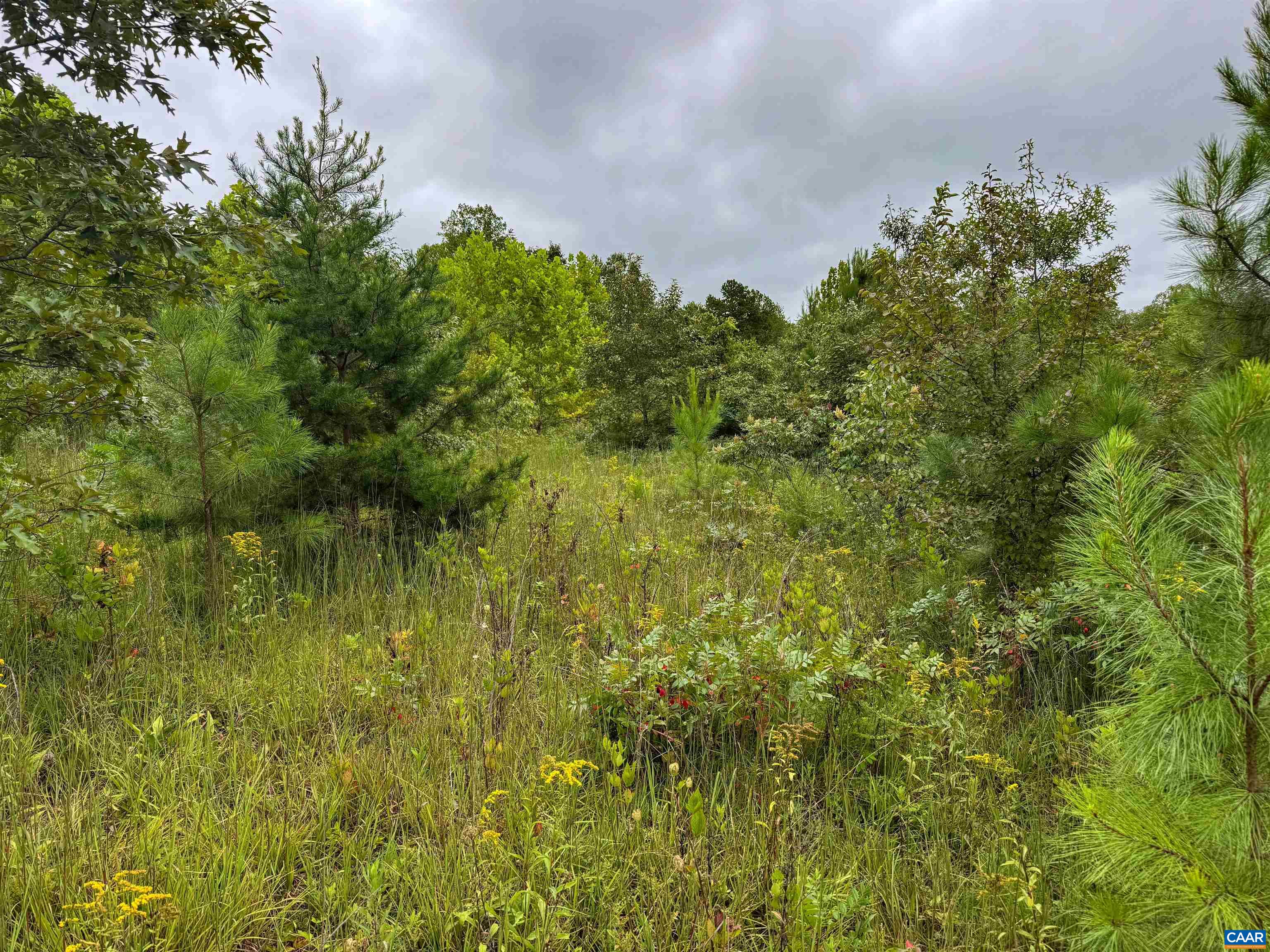 Tba Old Green Mountain Road Esmont, VA 22937 - Photo 25 of 33 a view of a garden