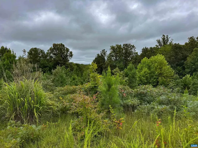 $684,000 | Tba Old Green Mountain Road, Esmont, VA 22937