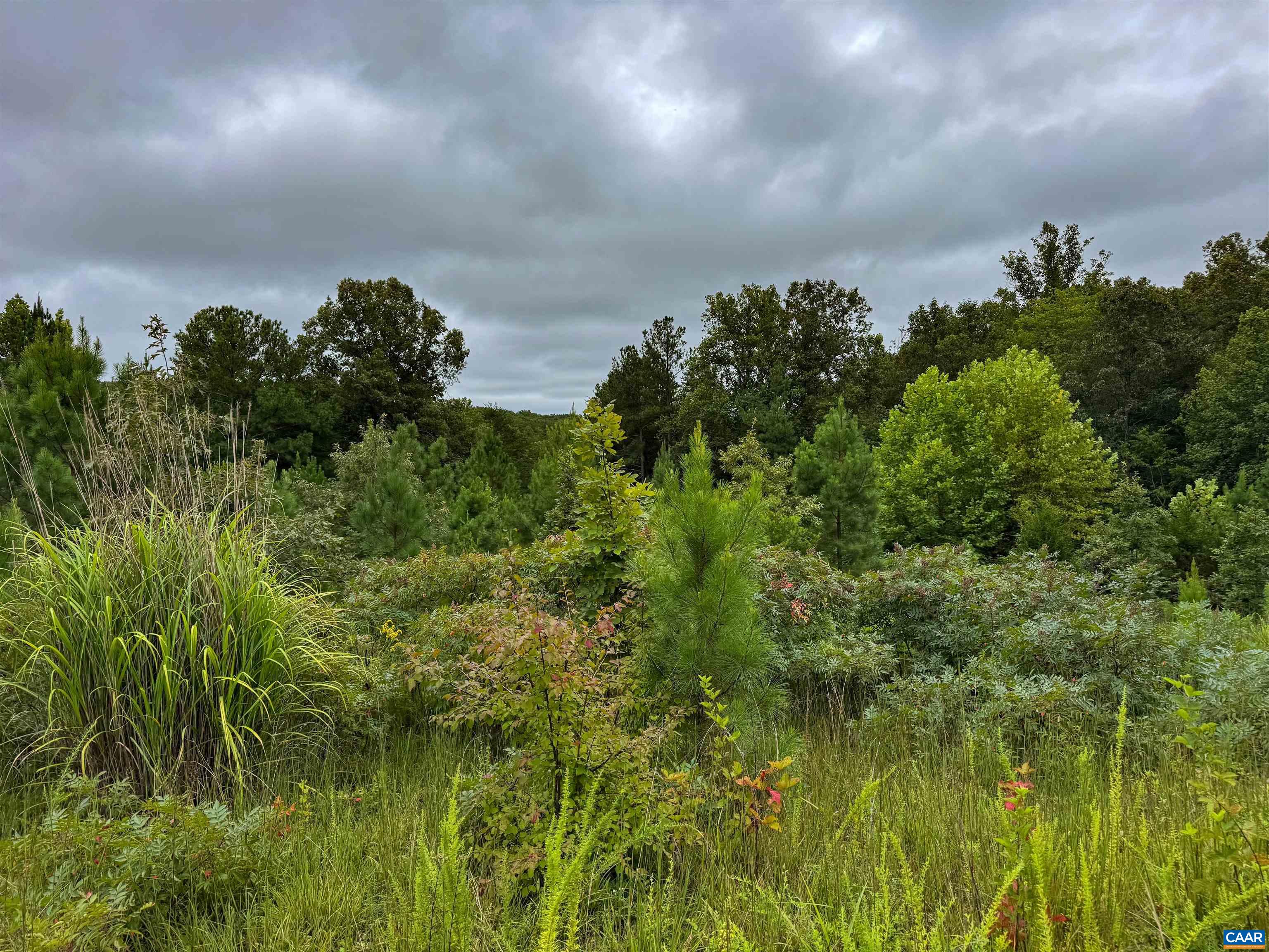 Tba Old Green Mountain Road Esmont, VA 22937 - Photo 26 of 33 a view of a lake