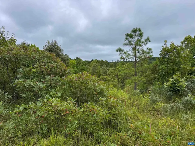 $684,000 | Tba Old Green Mountain Road, Esmont, VA 22937