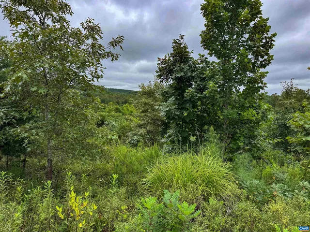 $684,000 | Tba Old Green Mountain Road, Esmont, VA 22937